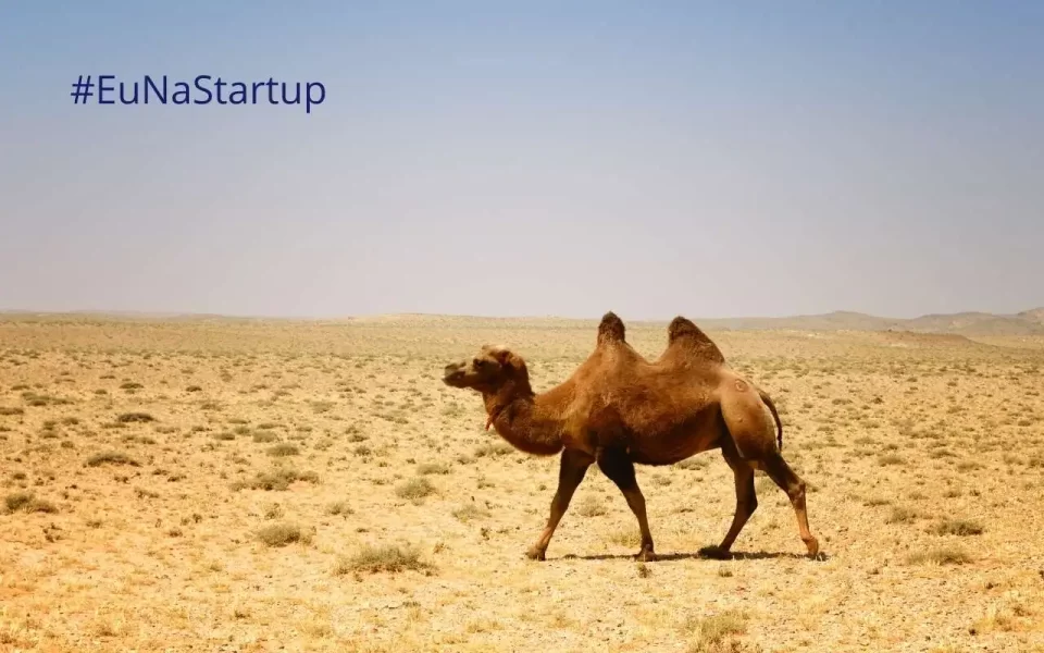 Startup Camelos